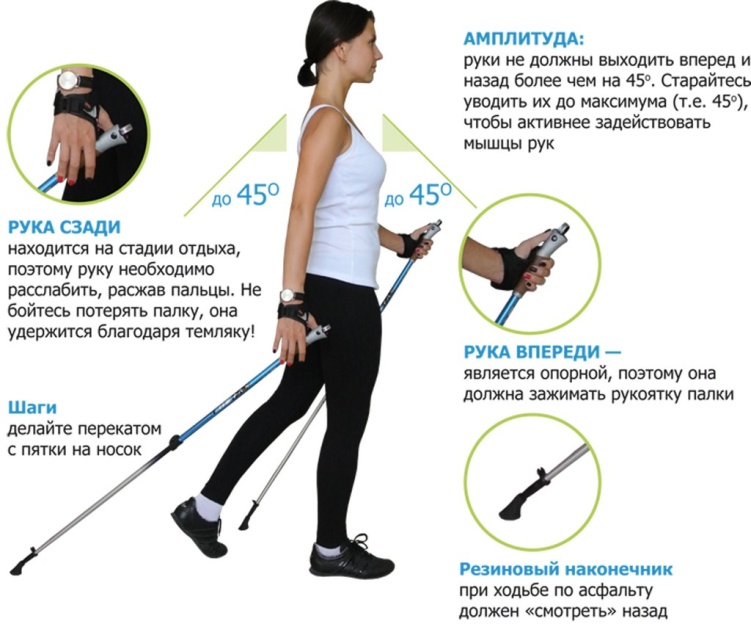 финская ходьба