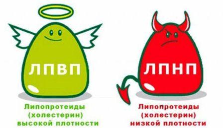плохой холестерин