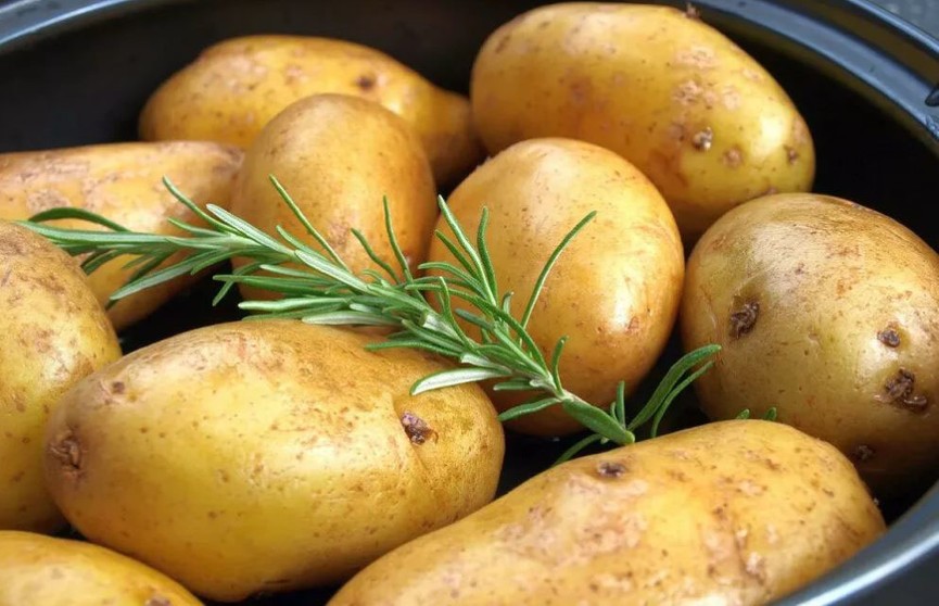 Картофель в духовке. 7 рецептов на любой вкус
