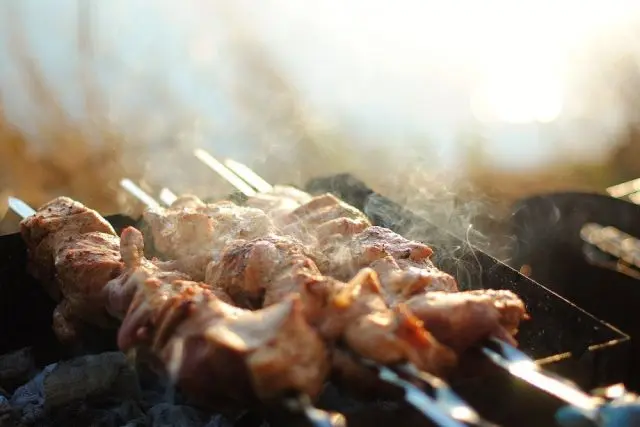 11 способов вкусно замариновать шашлык из свинины