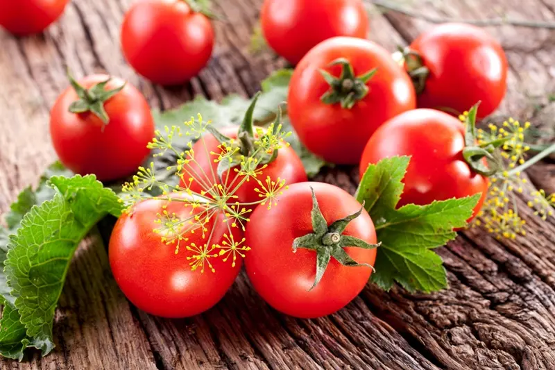 Салат из свежих помидоров: вкусные идеи летних рецептов