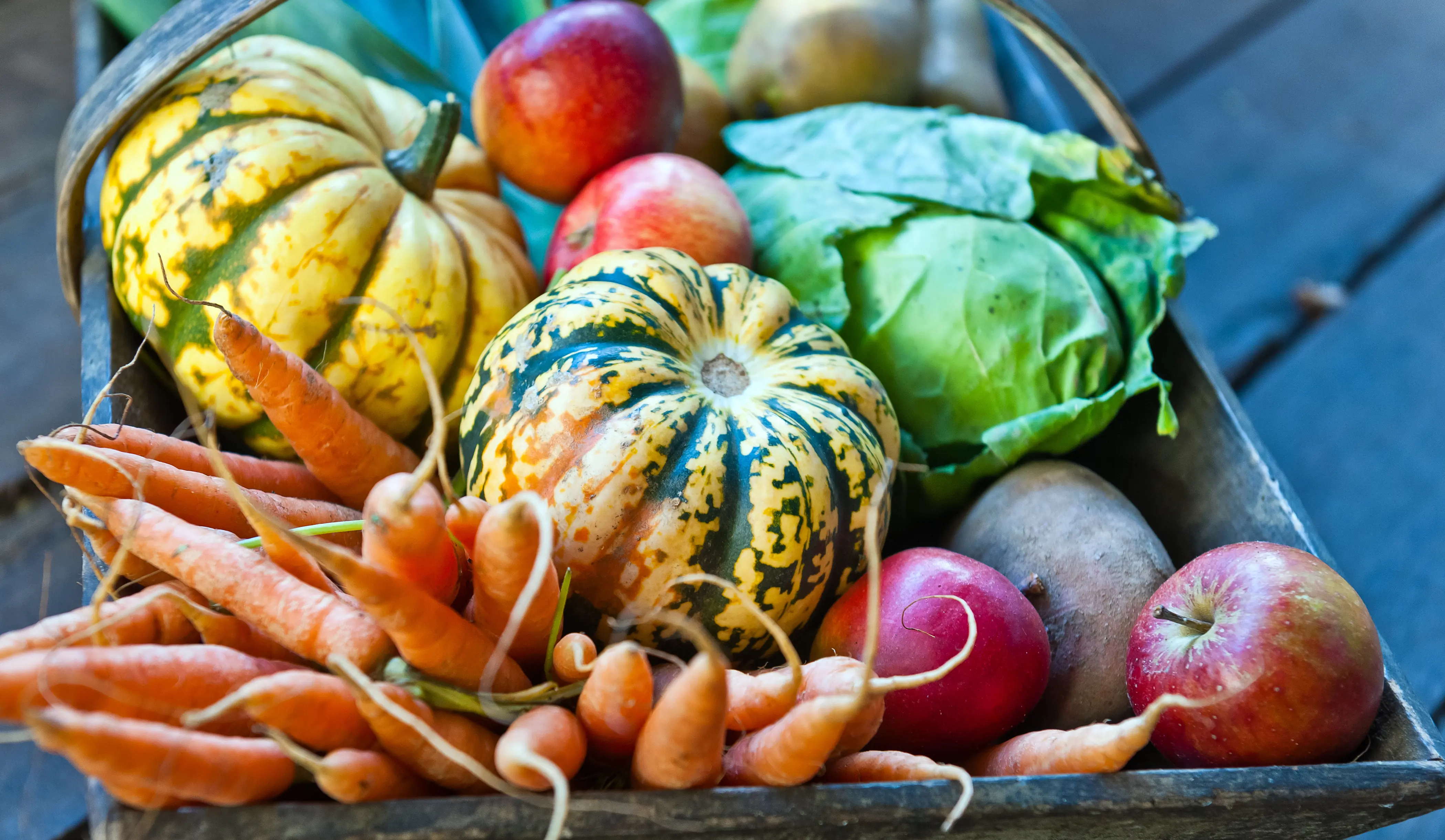ТОП-11 полезных зимних салатов из доступных продуктов