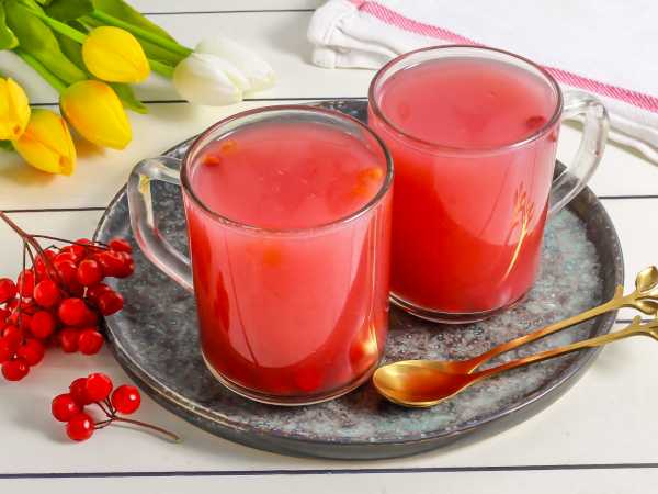 Кисель из овсянки