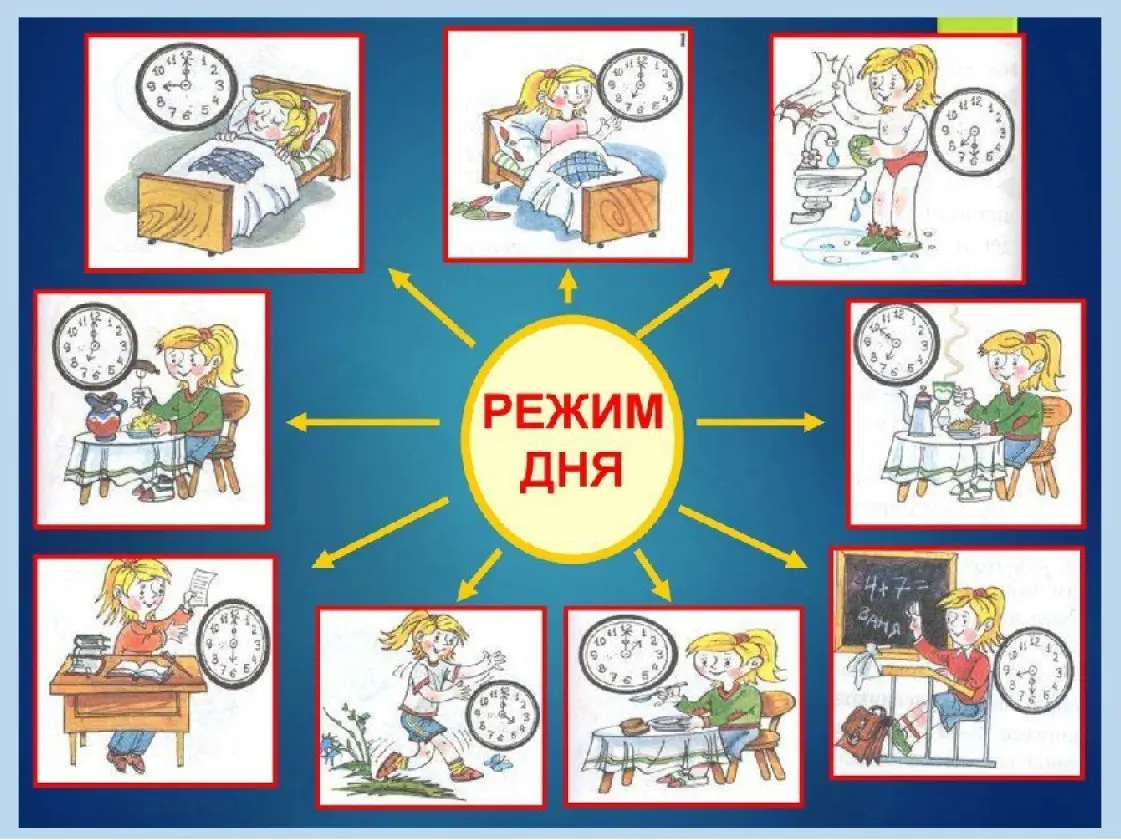 режим дня